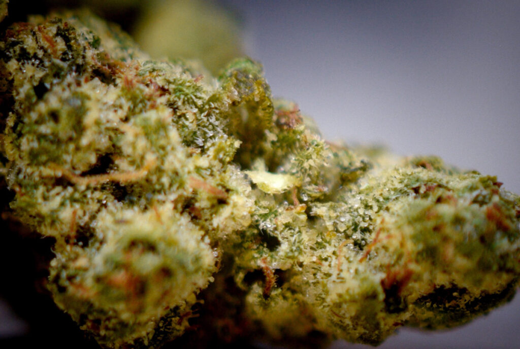 Triangle Kush Up Close