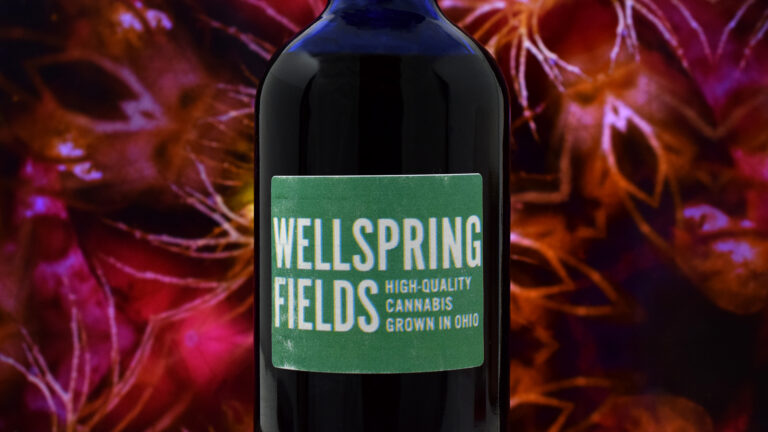 Wellspring Fields - Olive Oil Showcase 1080 2