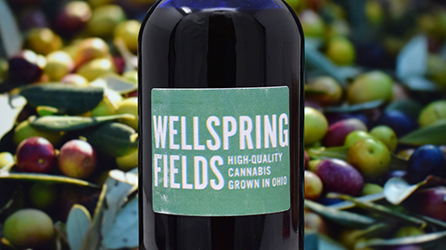 Wellspring Fields - Olive Oil Showcase 500px